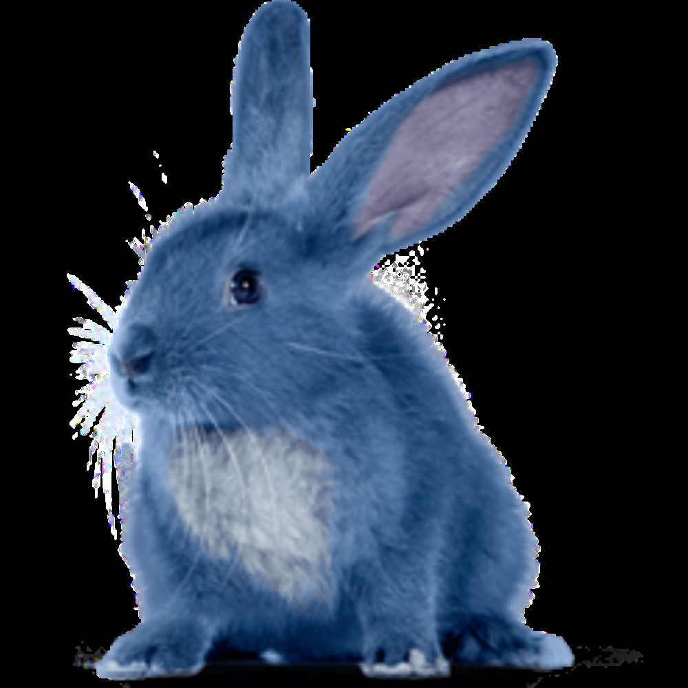 Meet your Posher, Posh